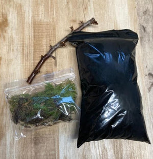 Praying Mantis habitat refill with coconut fiber, moss, and branch