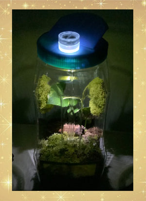 Lite-Up Praying Mantis Clear Plastic Ventilated Habitat - Convenient Handle