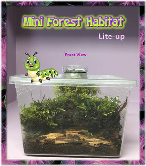 Front view of Lite-Up Mini-Forest Habitat with moss and bark.