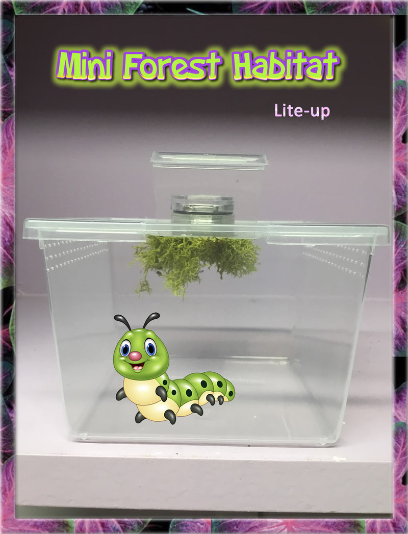 LiteUp MiniForest Habitat with Aged BarkForest Floor Moss Coco