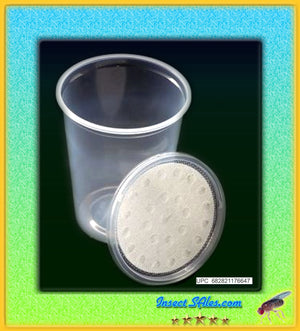 Fruit fly culture cup with vented fabric lid, 32 oz.