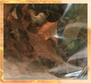 Red Oak Dried Leaves For Terrarium-Vivarium-Insect Habitat