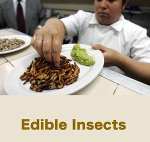 Did you know that many insects are edible?