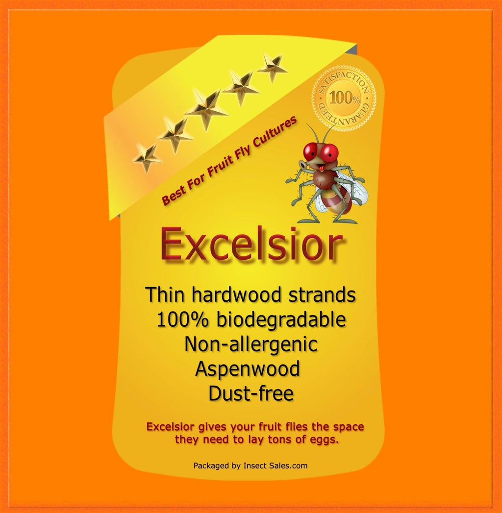 Excelsior (Aspen Natural Wood) Fine Fiber (10 Pack)