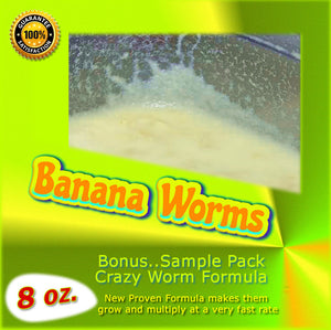 Banana Worms (Large Producing Cultures) 8 oz.