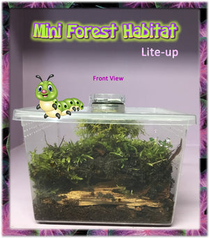 Lite-Up Mini-Forest Habitat with: Aged Bark-Forest - Floor Moss - Coconut Fiber