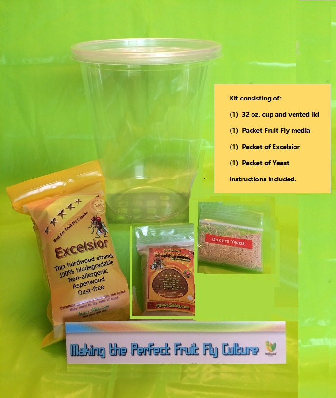 FRUIT FLY CULTURE KIT - One Kit Only (Flies NOT Included)