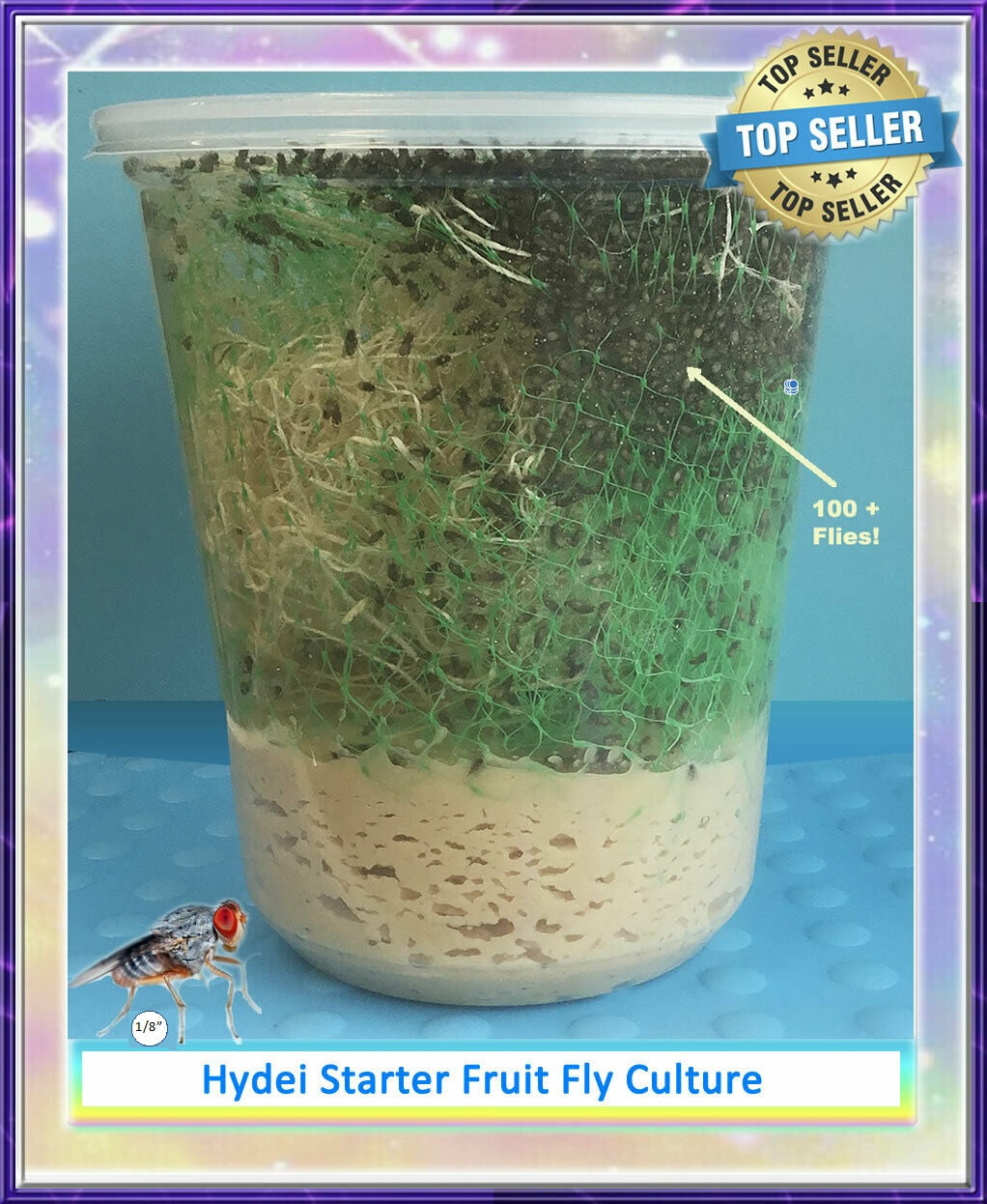 Drosophila Hydei Fruit Fly Starter Culture (Flightless)