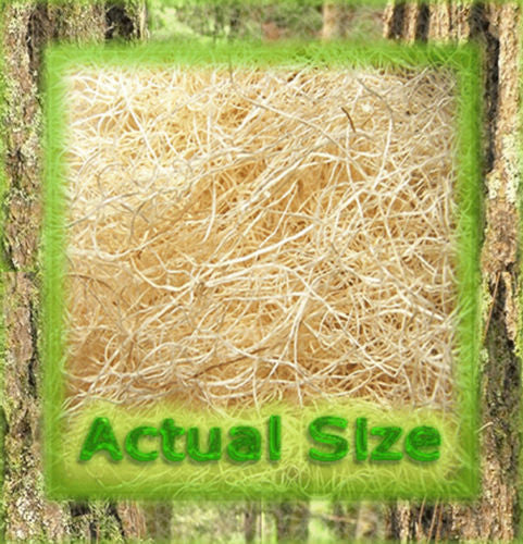 Excelsior (Aspen Natural Wood) Fine Fiber (10 Pack) – Insect Sales.com