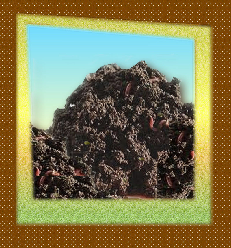 Worm Composting ("KICK START") Beneficial Microbes (2 Lbs) Keep wo